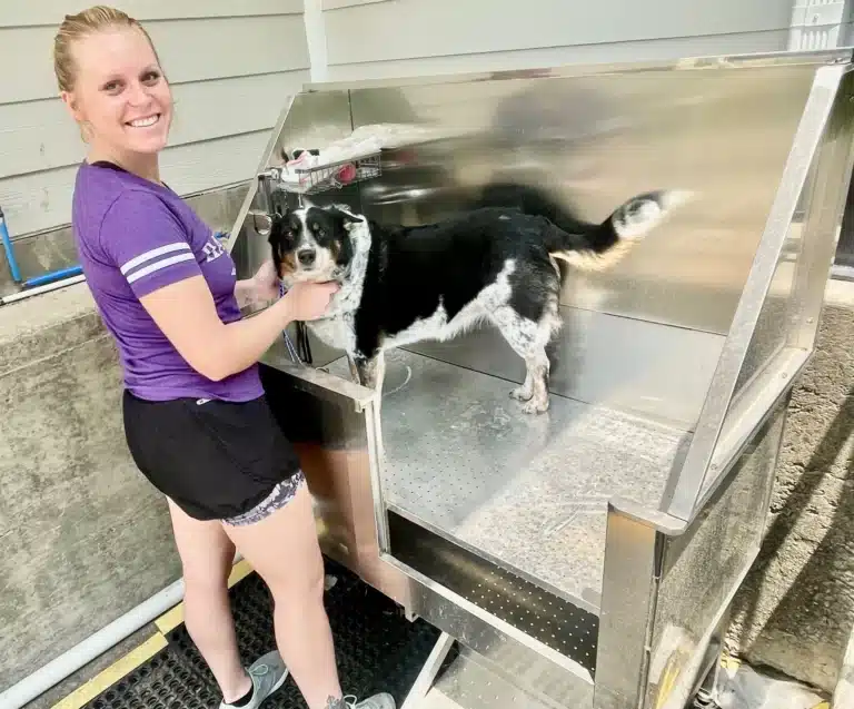 Dog Washing Station